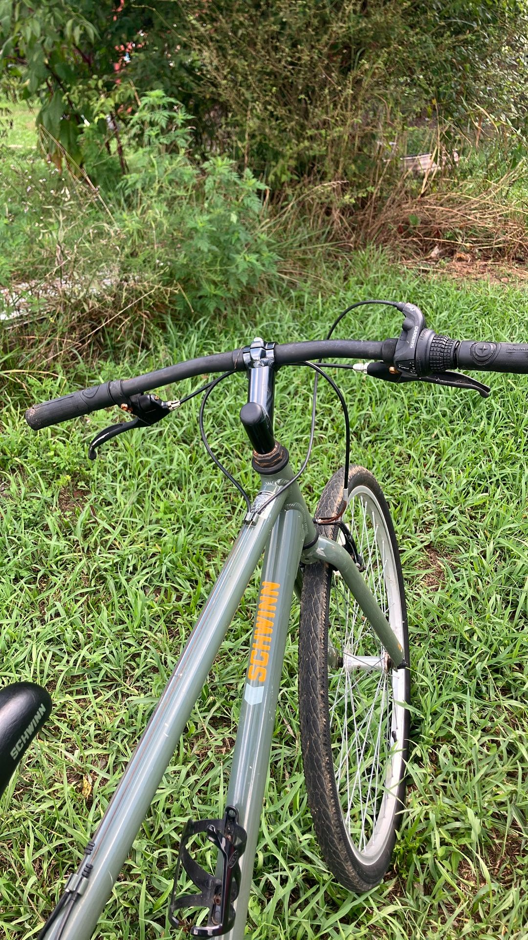 Schwinn Bicycle