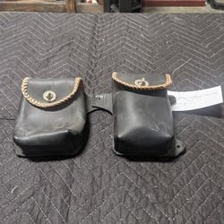 Harley Sidebags/Windshield Bags