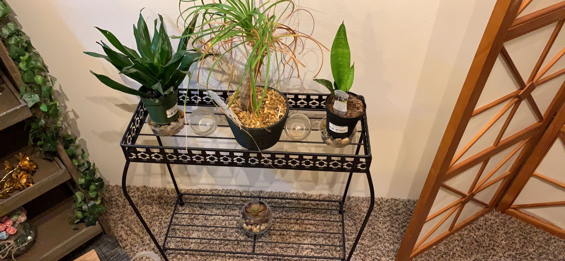 Plant stand