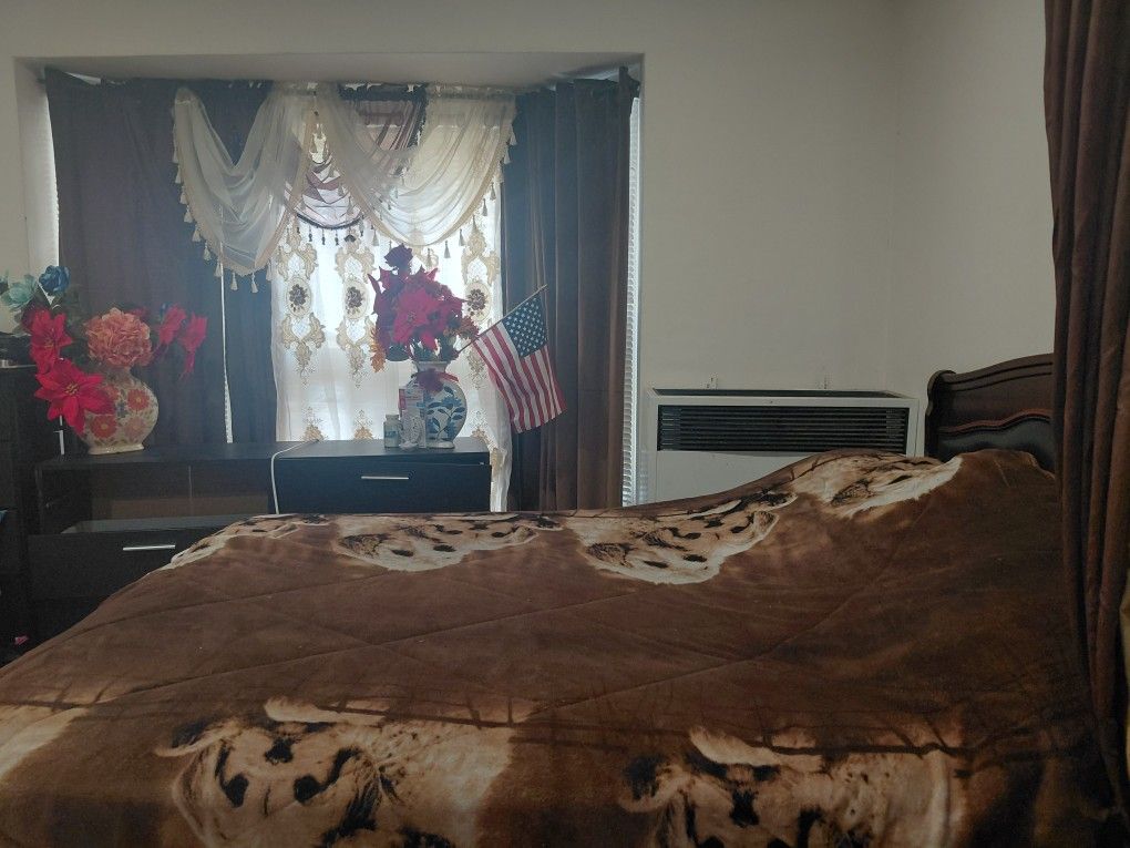 BORREGO C ON DISEÑOS