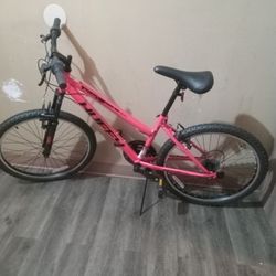 Girls 24 Inch Mountain bike Brand New