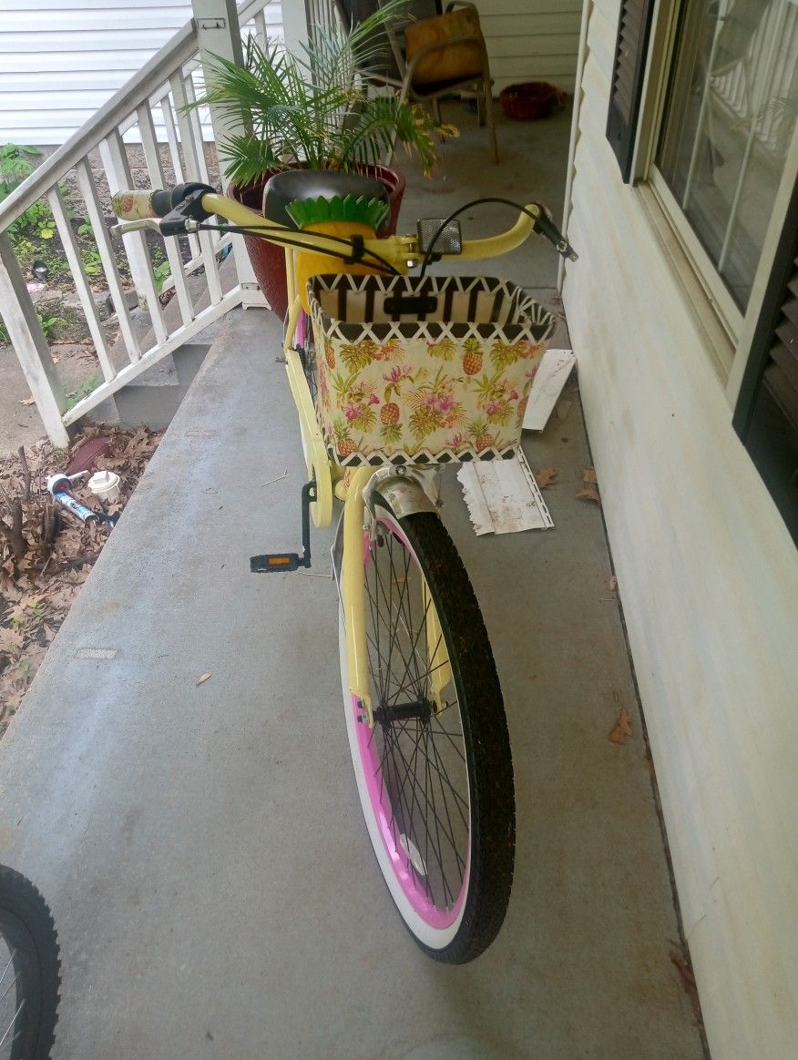 Jimmy Buffet Bike