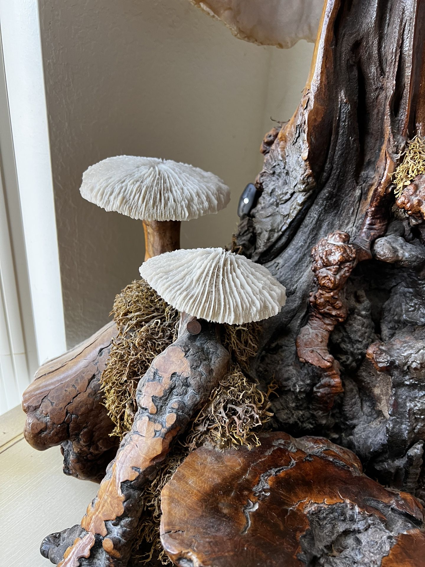 Vintage mushroom coral specimen - Home Barn Vintage