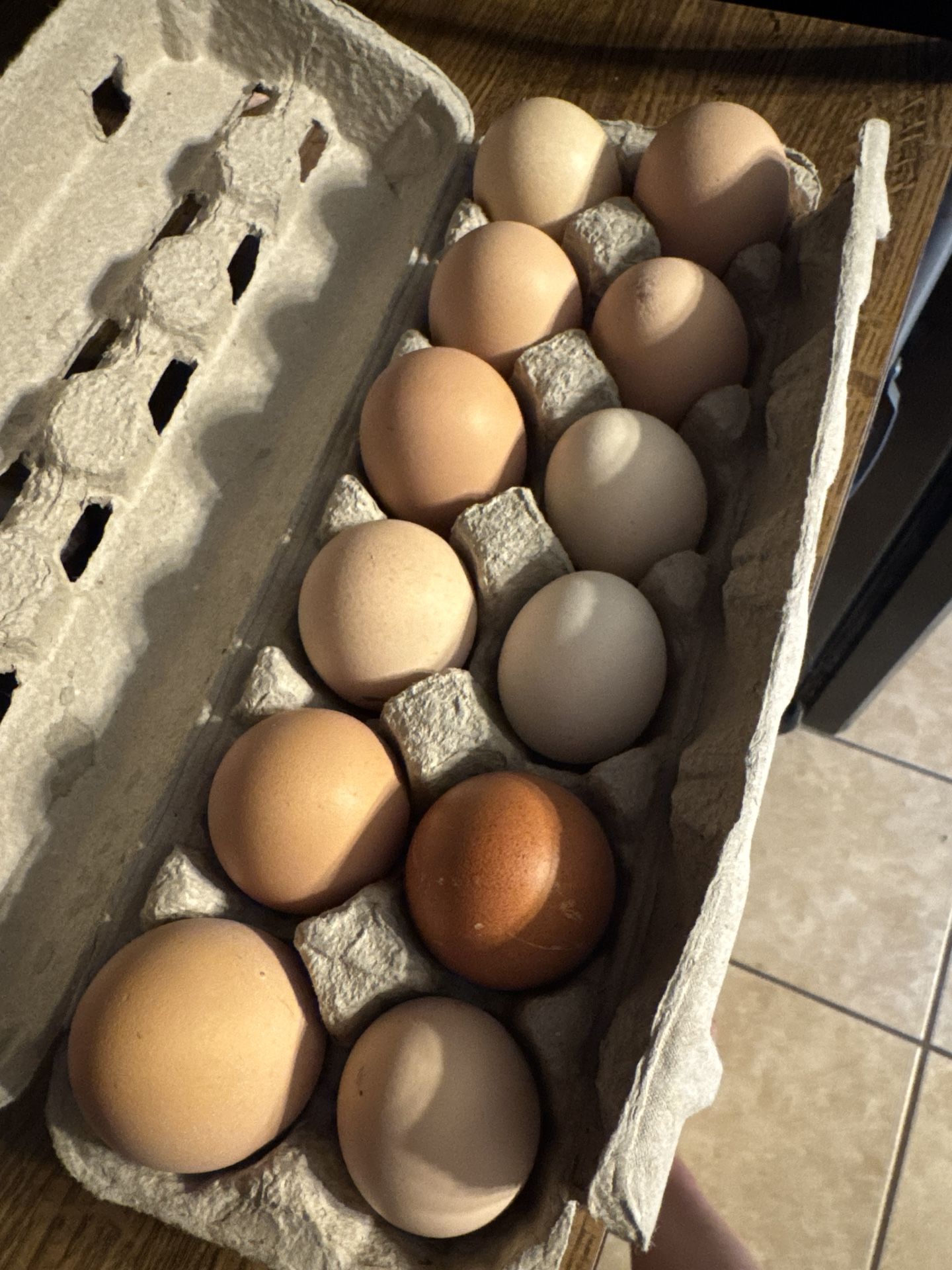 Farm Fresh Eggs!!!