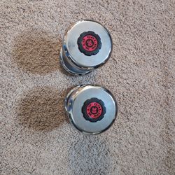30lb Dumbbells 