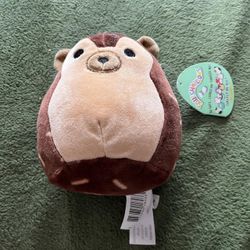 Hanz the Hedgehog 5” Squishmallow NWT