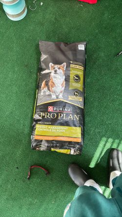 Dog Food Purina