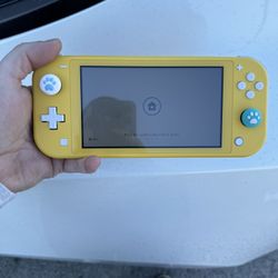 Nintendo Switch Lite 