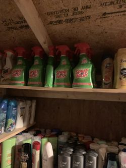 Household