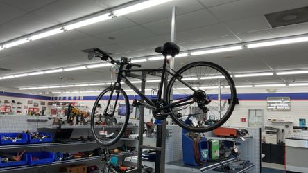 Giant Escape 3 size MEDIUM