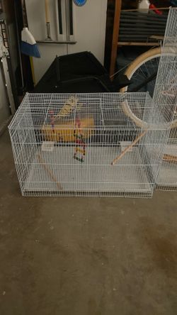 29 In Long Cage 