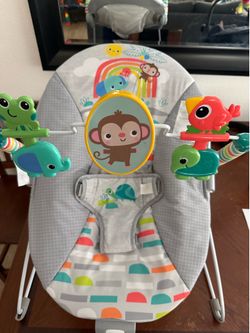 Baby Bouncer