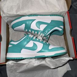 Nike Dunks (size 10 Men)