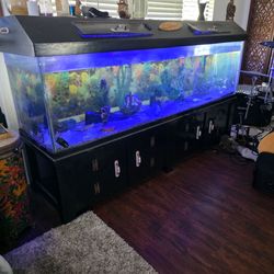 200 gallon glass fish tank with stand and Hood