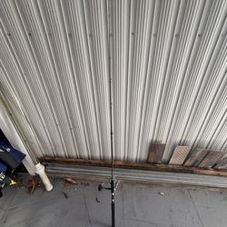 Saragoosa 10000 Reel With Trevali Rod