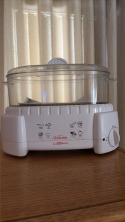 Electric Steamer