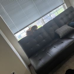 Black Leather Futon/Couch