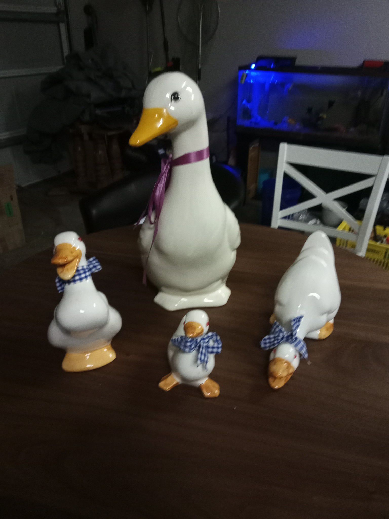 Family Duck Set