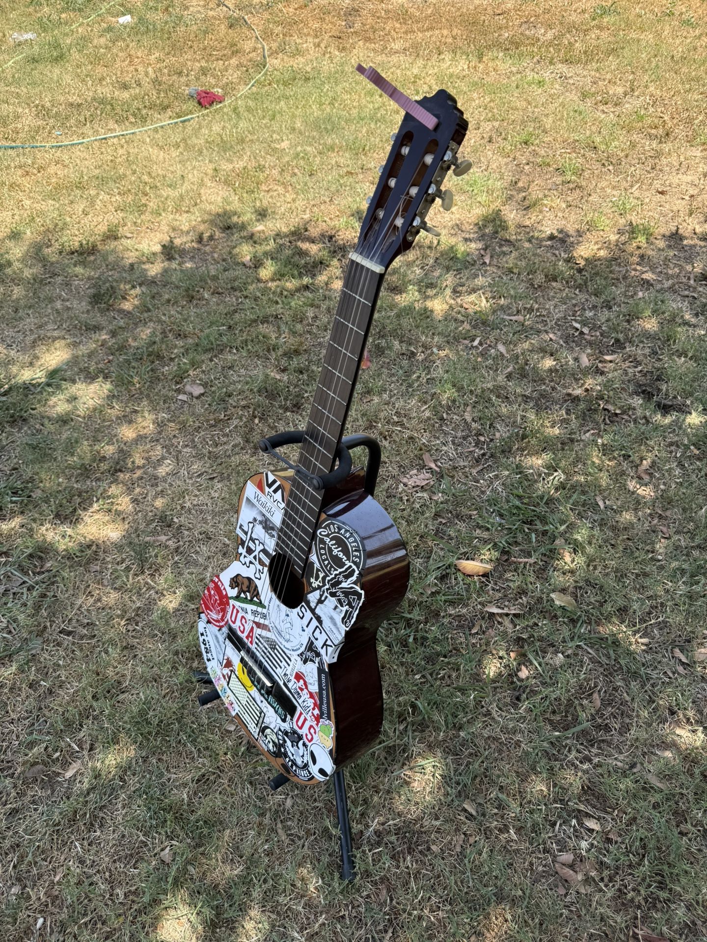 Guitar And Stand