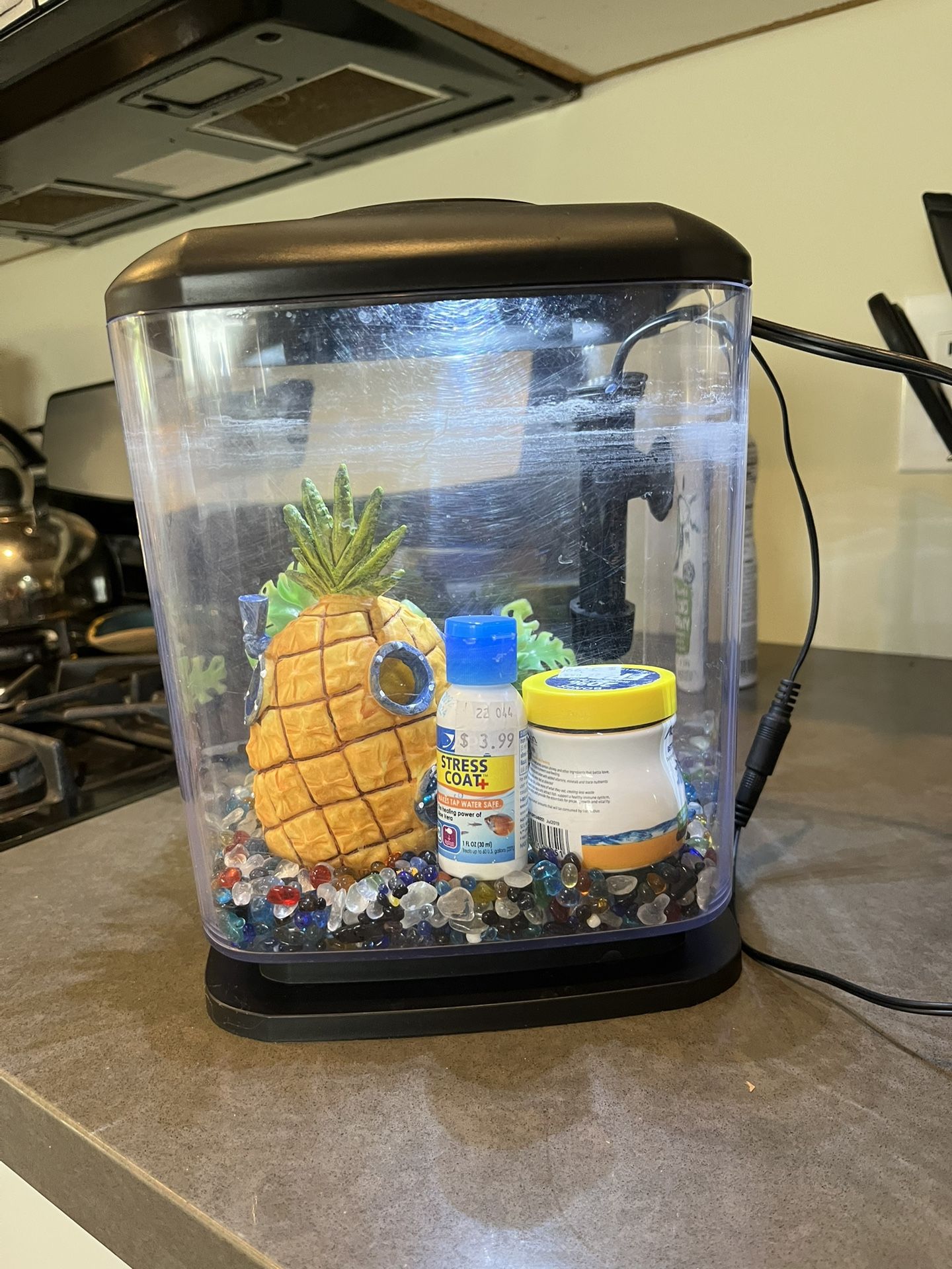 Beta Fish Tank