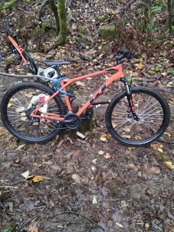Mountain Bike GT Eggresser