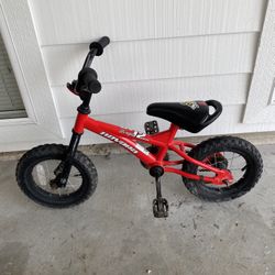 Novara Stinger Bike