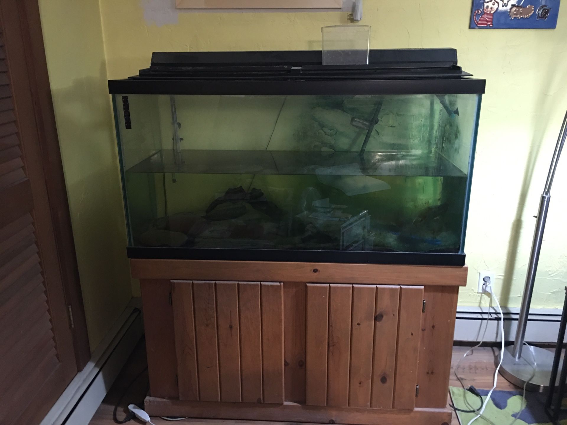 Fish tank 90 gallon