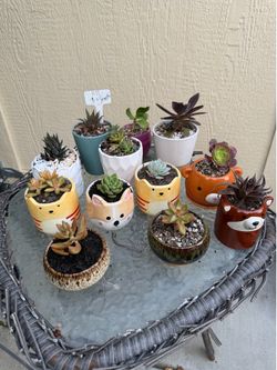 Teacher appreciation gifts