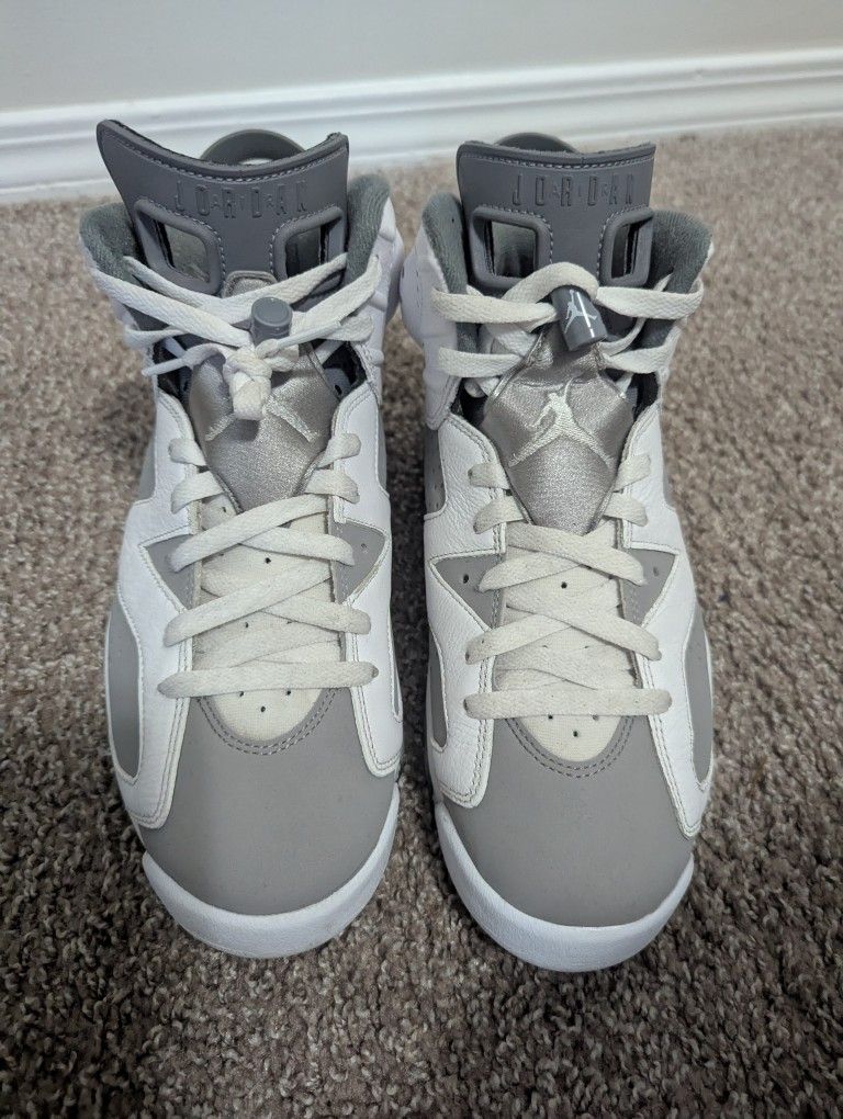 Jordan 6s