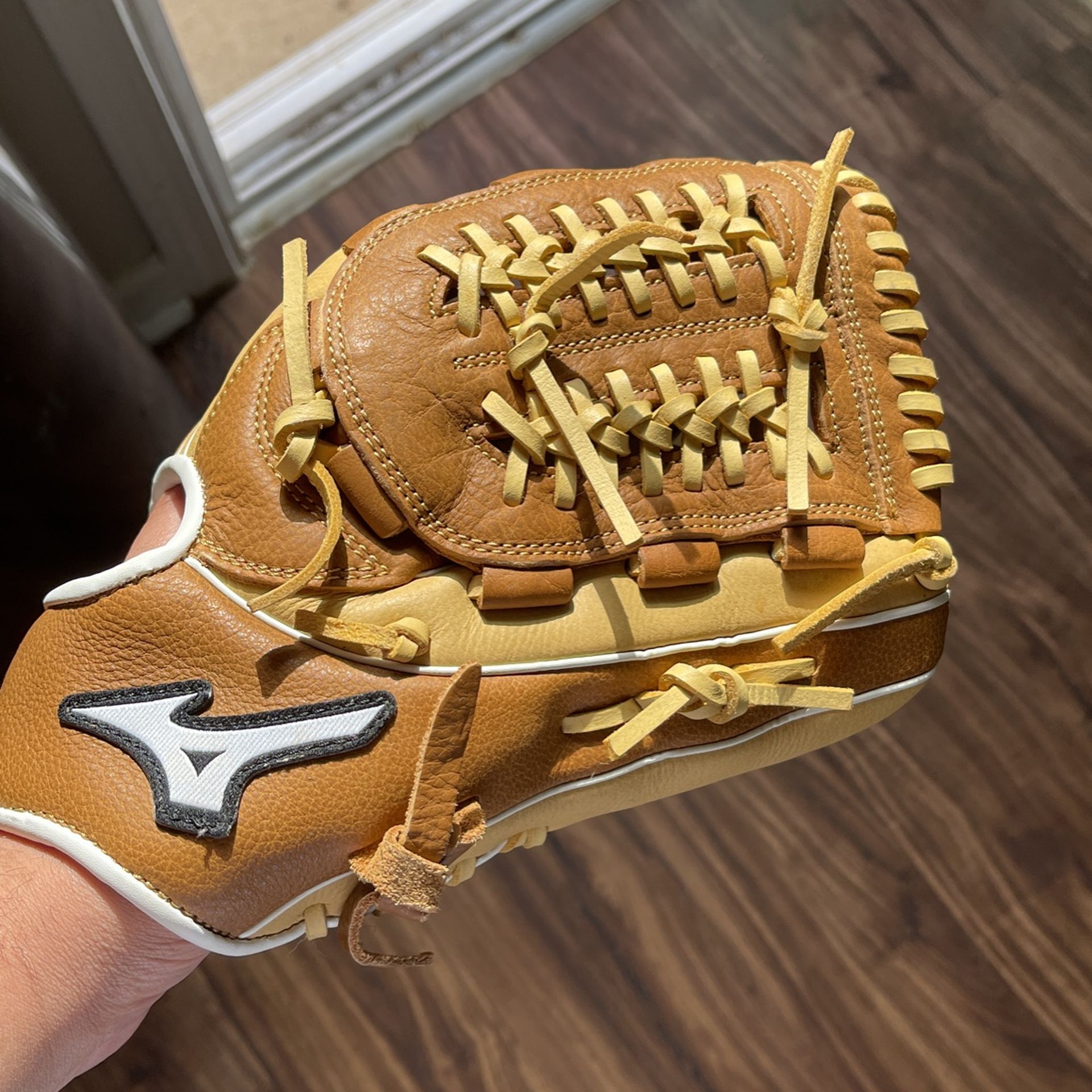 Mizuno Baseball Glove 