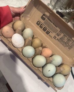 Eggs