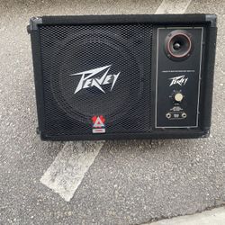 Speaker Peavey Good CONDITION  $ 180