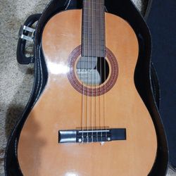 Trump Acoustic Guitar
