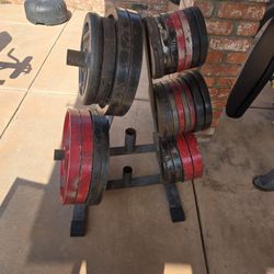 Olympic Weights With Rack And Bar