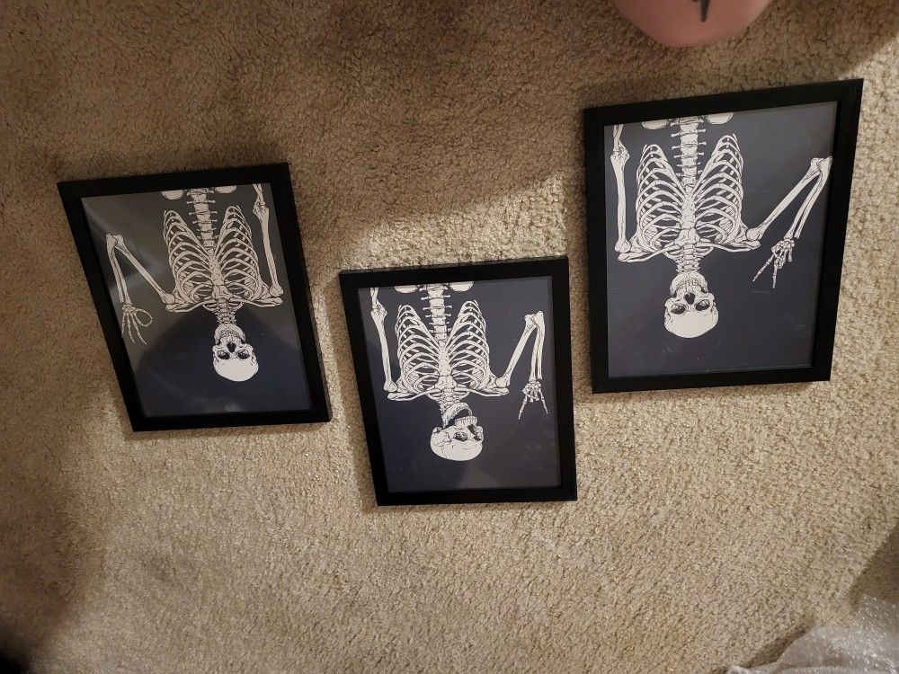 Skeleton Frames