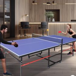 Professional Ping Pong Table Columbia, SC