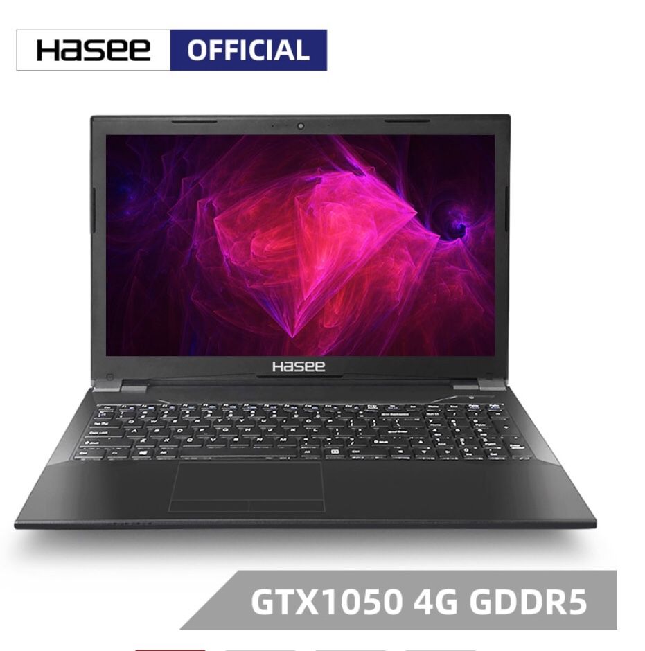 Hasee K670D-G4E7 Laptop for Gaming (Intel 9Gen G5420+GTX1050 /8G RAM/256G SSD/15.6'' IPS) notebook
