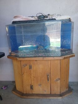 30 gallon fish tank