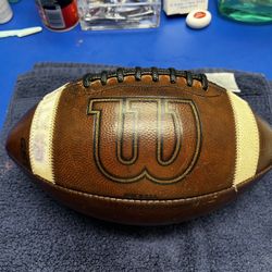 (Youth Size) Wilson Gst Football