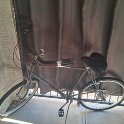 Adult SCHWINN Bike W Gel Seat