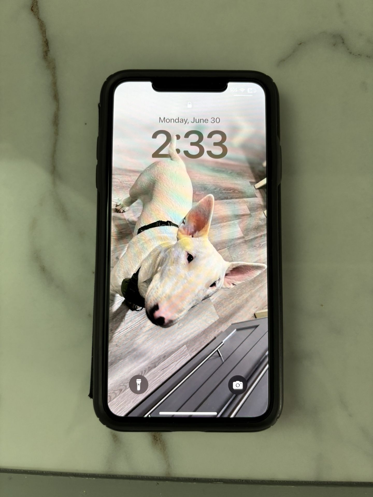 iPhone XS Max