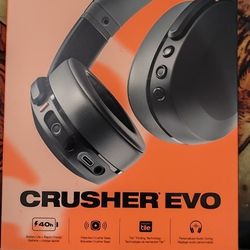 Skull Candy Crusher Evo