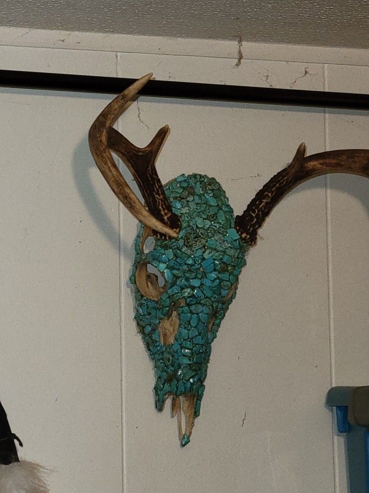 Nice Turquoise Deer Skull Head