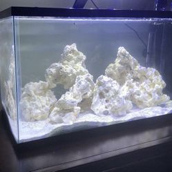 Saltwater Fish Tank