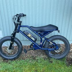 Fat Tire E-bike Qlife Spark
