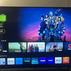 Vizio 65 Inch Tv