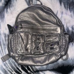 Silver Brand New Back Pack