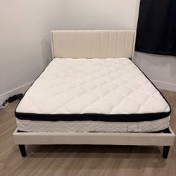 Queen Bed With Matress