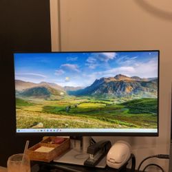 $50 DELL Monitor Work From Home Or Gamer 