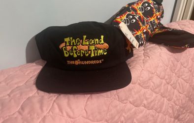 The Land Before Time X The Hundreds